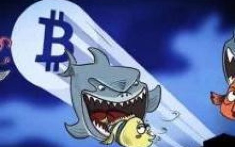 产业资本抄底，币圈交易所开始出清之路