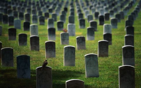 大批项目排队失败，复盘ICO如何从兴起到死亡