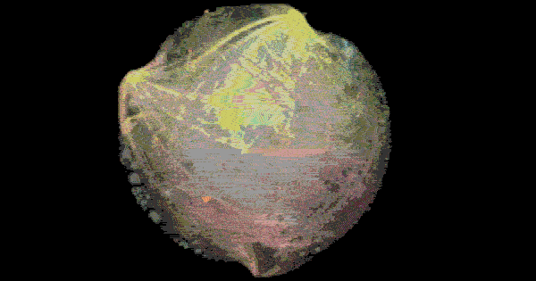 33.gif