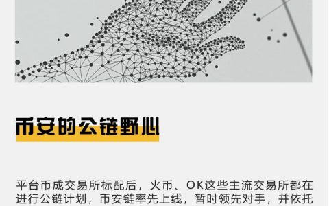 币安的公链野心：“干掉”中心化交易所
