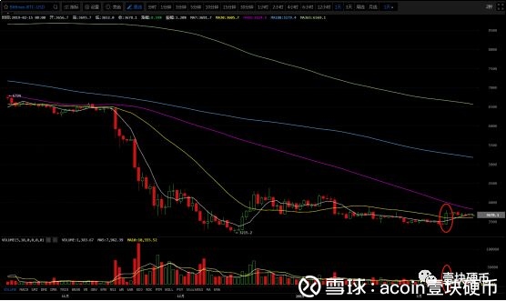 炒股or 炒币？A股气势如虹，币市投资者急了……