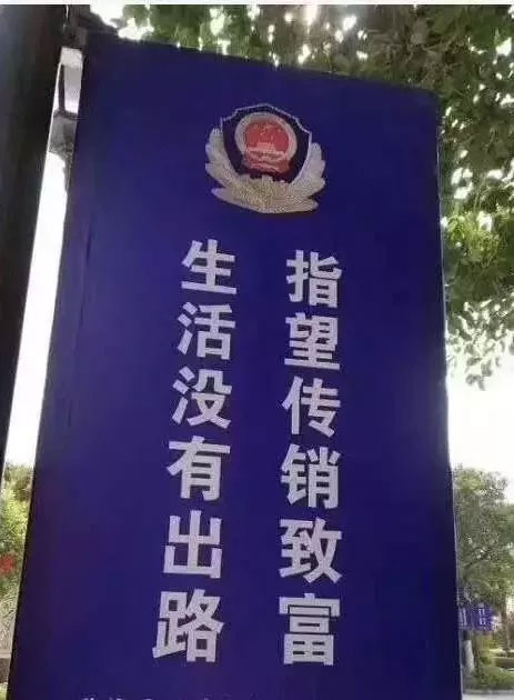 我妈“儿孙”满堂，干的全是传销的行当