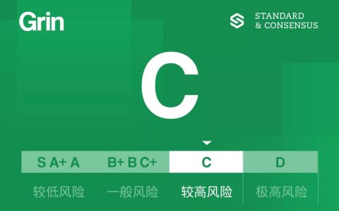 Grin 的阿基里斯之踵：无限通胀