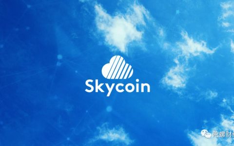 SKYCOIN项目疑云：去中心化有可能只是一层割韭菜的面纱？