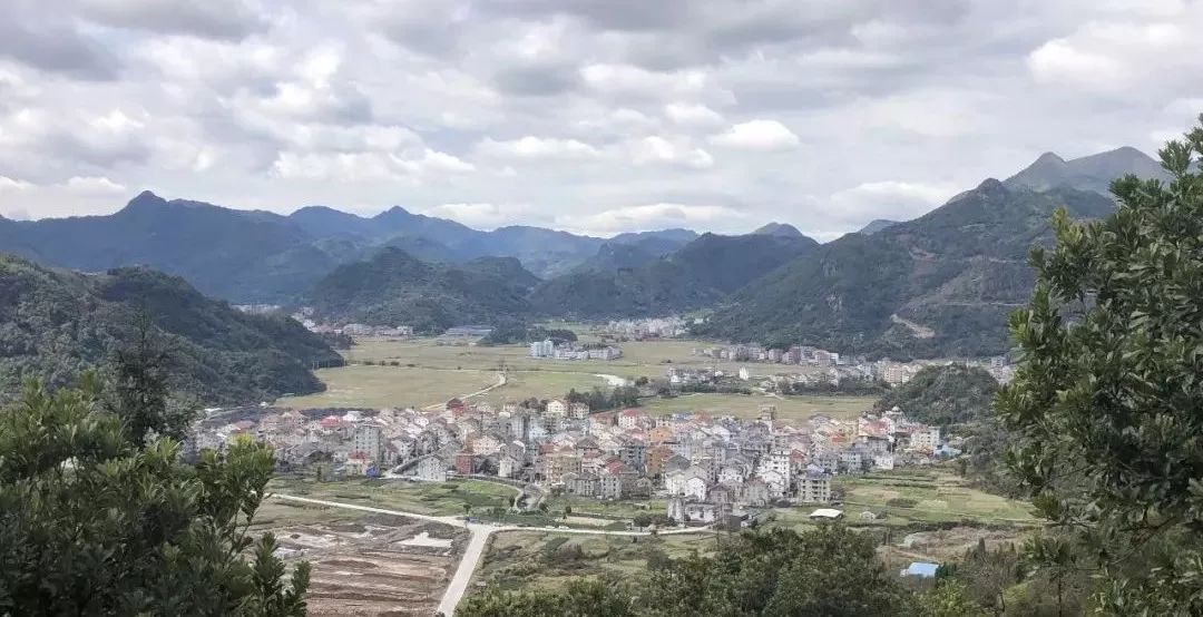 一个温州山村的区块链“突围”