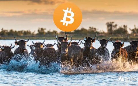 比特币将再次崛起的5个原因