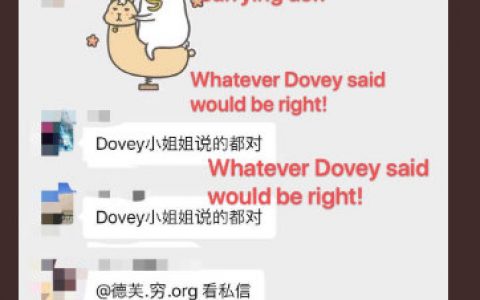 宣布上线Celer后，币安和前丹华资本Dovey Wan陷内幕交易质疑