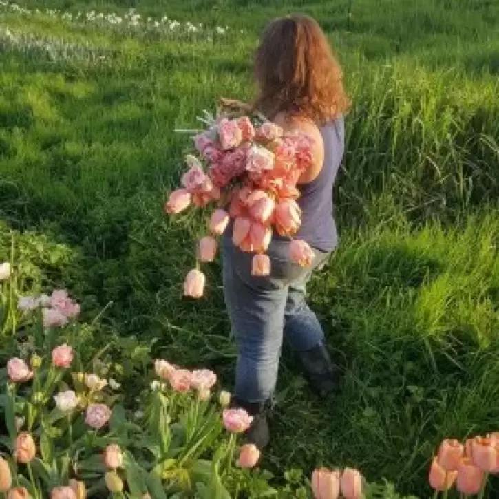 网状网络和加密货币如何消弭乡村宽带的鸿沟？