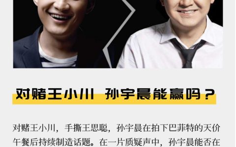 对赌王小川 孙宇晨能赢吗？