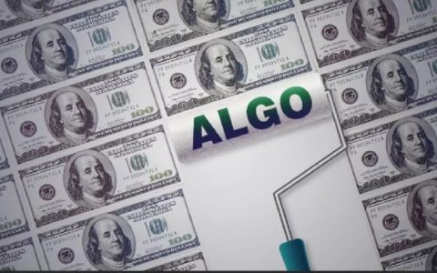 明星项目ALGO沦为散户收割机：5天跌去60%，私募却获48倍回报