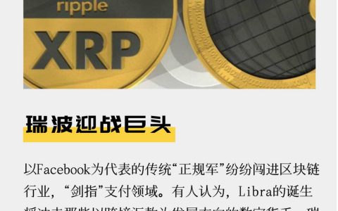 瑞波迎战巨头