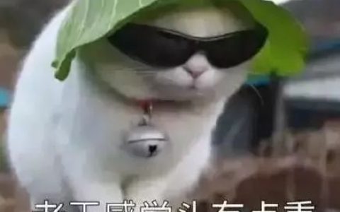 Plus软件后台已被警方控制，创世大神一个都跑不掉！