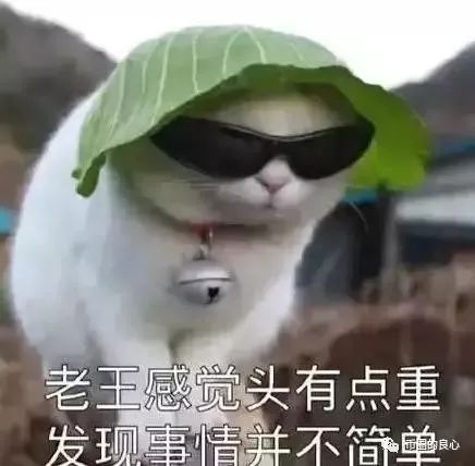 Plus软件后台已被警方控制，创世大神一个都跑不掉！