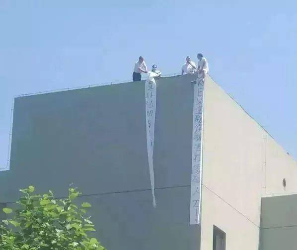 除了孙宇晨 币圈还有这些人入不得、出不去