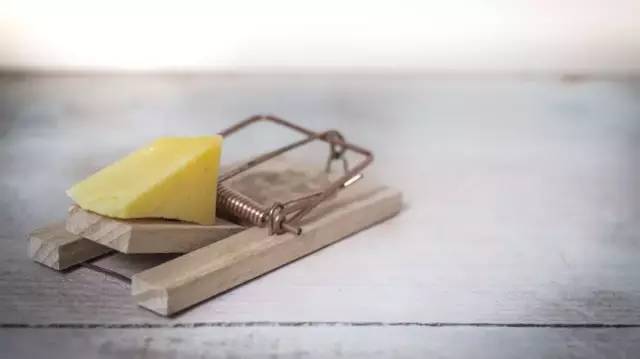 模式即人性：暴富 or 血亏，模式币深度剖析
