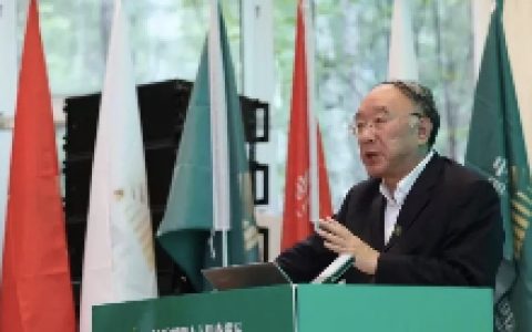 中国国际经济交流中心副理事长黄奇帆：违背金融常识的人都认为自己很聪明，结果误了卿卿性命