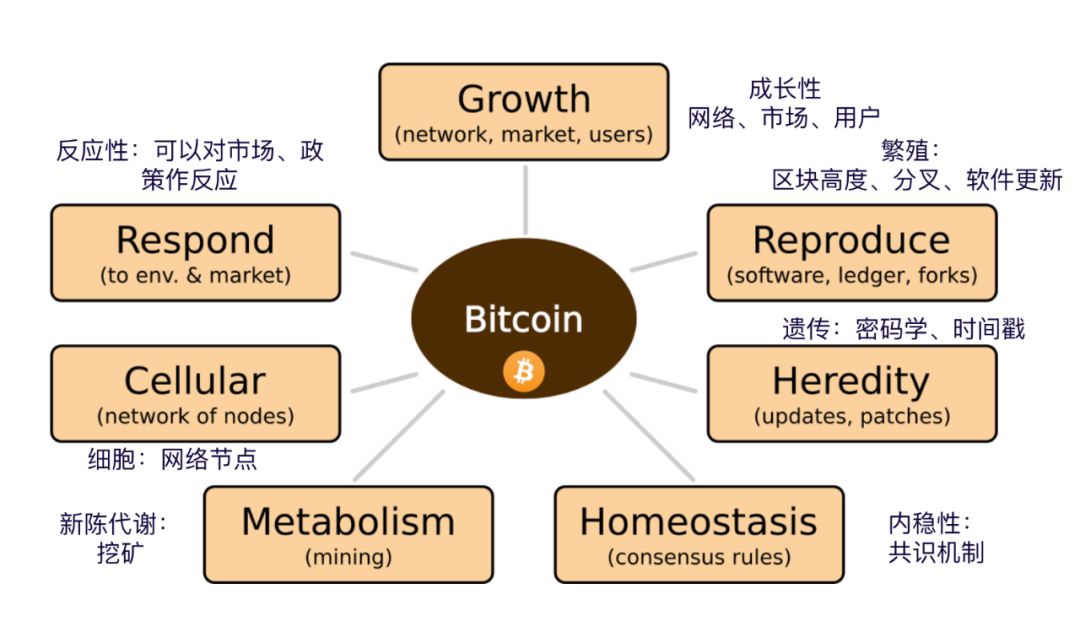 为什么说比特币是一种生命体？