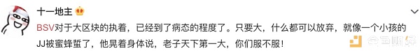 BSV三链并存怪象：是崩溃、分裂还是大惊小怪？