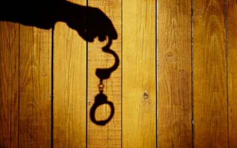 资金盘项目BHB组织者被抓 曾经站台的凤姐号称一天分红11%