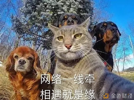 7万元一双鞋 5万本金赚几十万 警惕这样的另类交易所