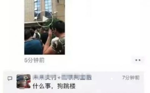 什么？区块狗回来了？币价还拉了一倍？