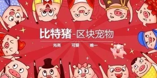 骗局解密：区块链+养宠物+高收益=传销诈骗