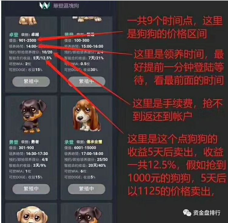 【崩盘】华登区块狗宣布崩盘跑路，投资者损失数亿，单个人损失达到50万以上！！！！！