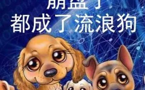 华登区块狗16号会开网吗？看华登区块狗后续发展！