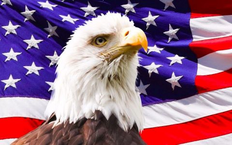 比特币和美国，哪个更加去中心化？