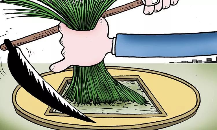 数币中国，你在割韭花吗？