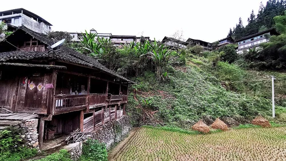 乡村炒币物语