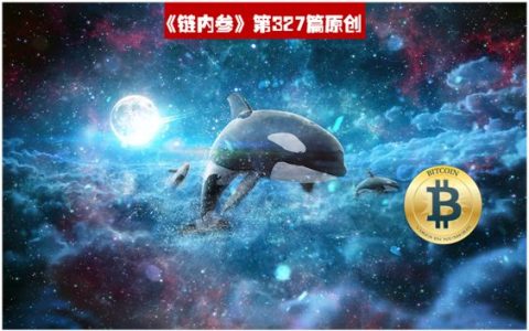 揭开巨鲸加密交易的神秘面纱