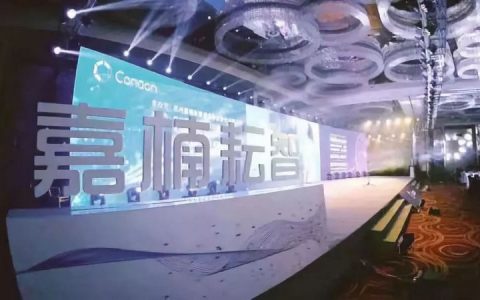 嘉楠耘智招股书中有哪些值得注意的点？