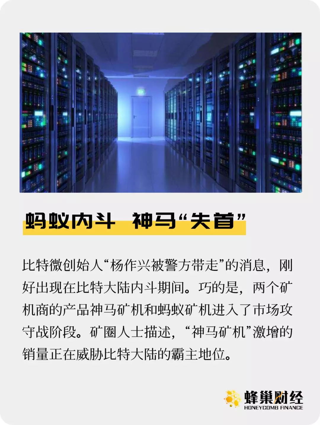 蚂蚁内斗 神马“失首”