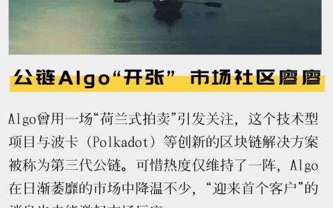 公链Algo“开张” 市场社区寥寥