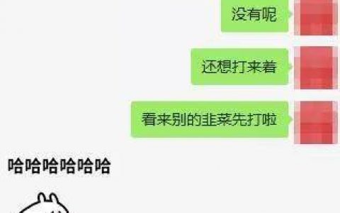目击 | 年关节点将至，上海「排查」下的交易所百态