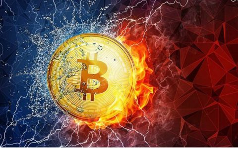 烤猫团队前成员：投资比特币是当前最好的选择