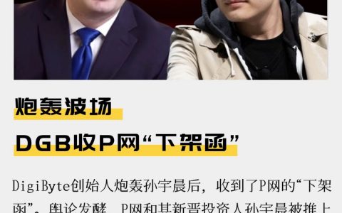 炮轰波场 DGB收P网“下架函”