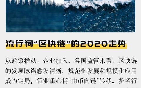 大咖说|流行词“区块链”的2020走势