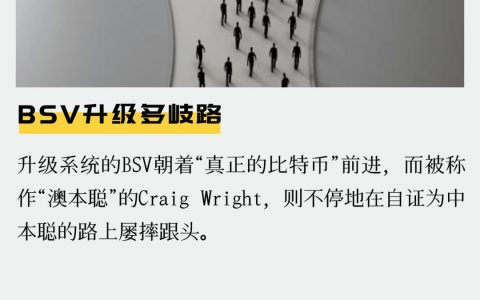 BSV升级多歧路