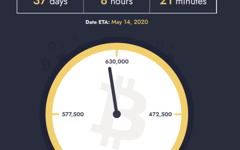 BTC的减半效应：如何计入价格？