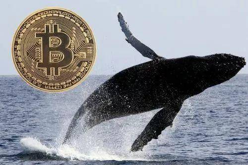 手握34万BTC的典型比特币巨鲸：灰度投资公司