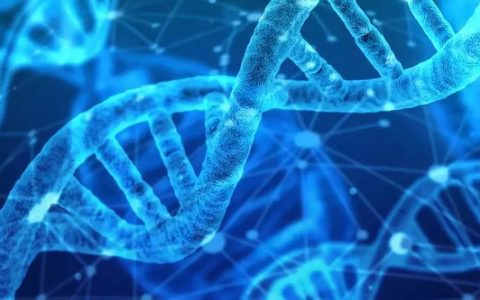 区块链入门 | 实物资产上链的方式与利弊浅析