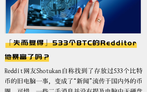 「失而复得」533个BTC的Redditor，他暴富了吗？