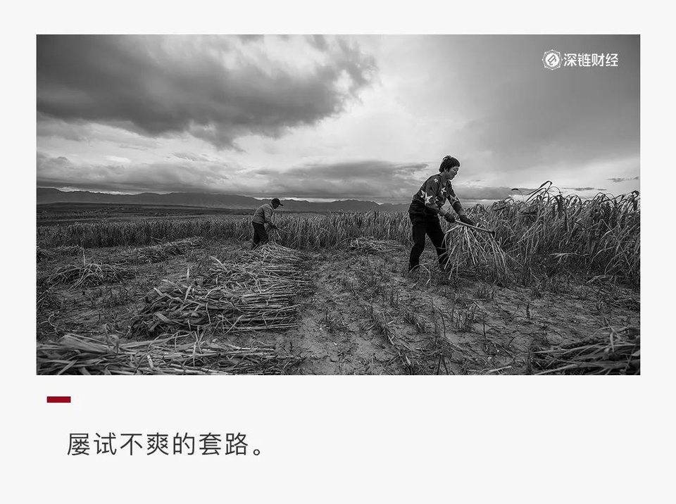 揭秘 0 撸资金盘：区块链噱头，拉人头模式，数亿元收割