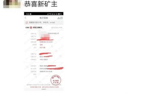 鸽王Filecoin的疯狂资本局