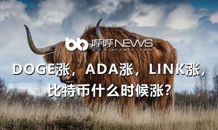 Doge涨，ADA涨，LINK涨，比特币什么时候涨？