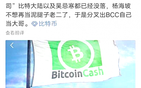 BCH再闹分叉：社区反响激烈