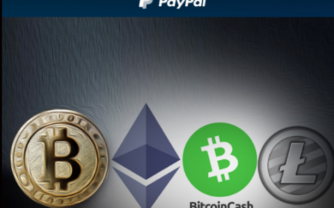 PayPal引爆加密货币市场下的一些批判性思考
