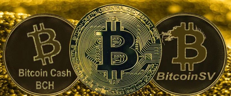 比特币越走越高，但它还能保持“一骑绝尘”多长时间？